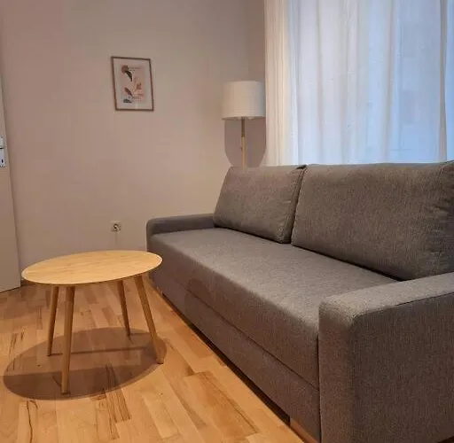 With Terrace And Parking Space Apartman Linz